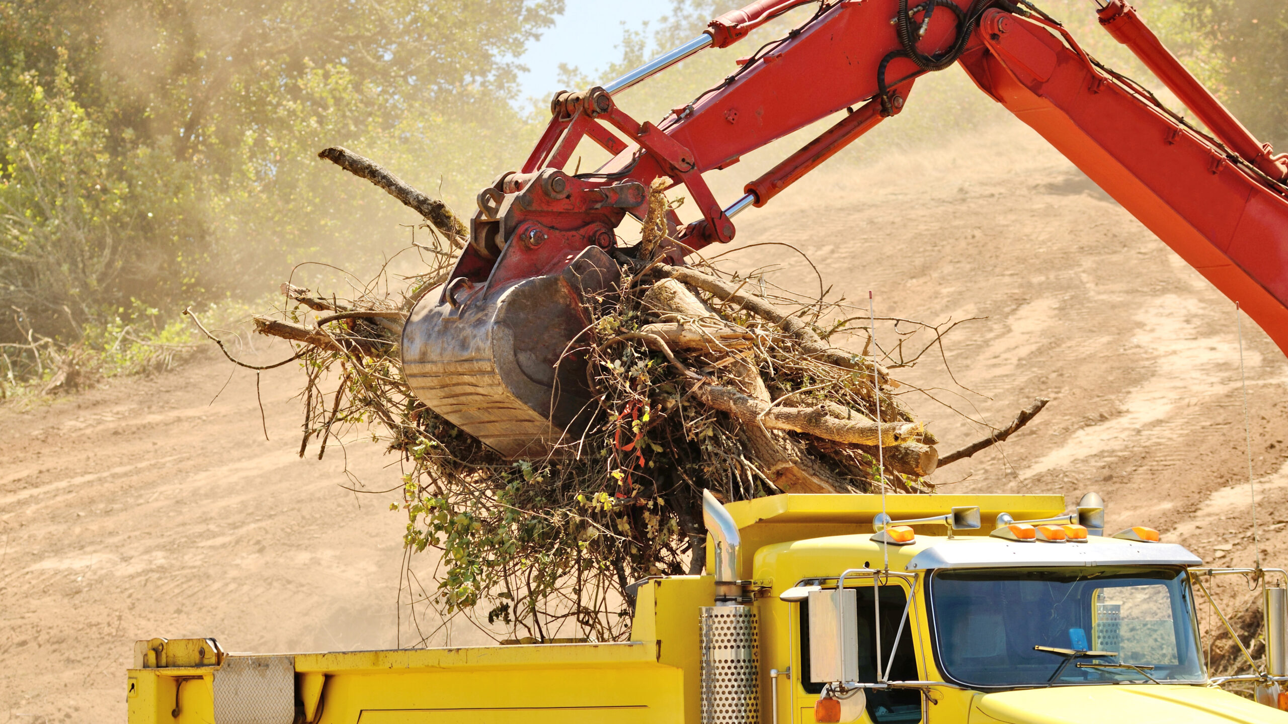 Clearing the Way: CK Contractors Tackles Land Challenges Across Southeastern Wisconsin